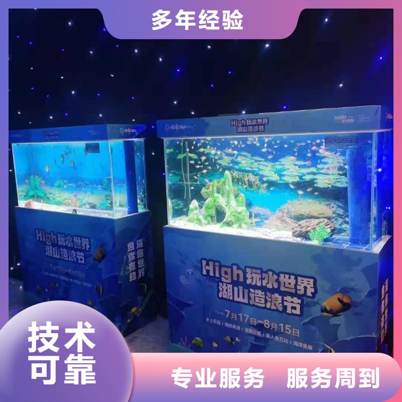 海洋主题动物表演_美人鱼表演出租承接