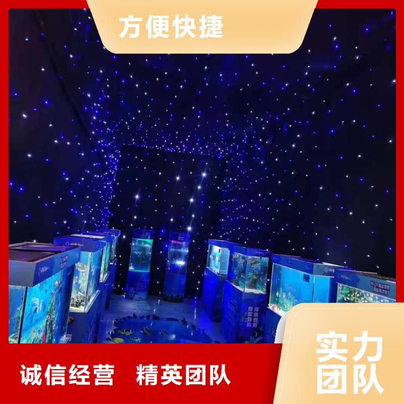 海洋主题动物表演海豚表演售后保障
