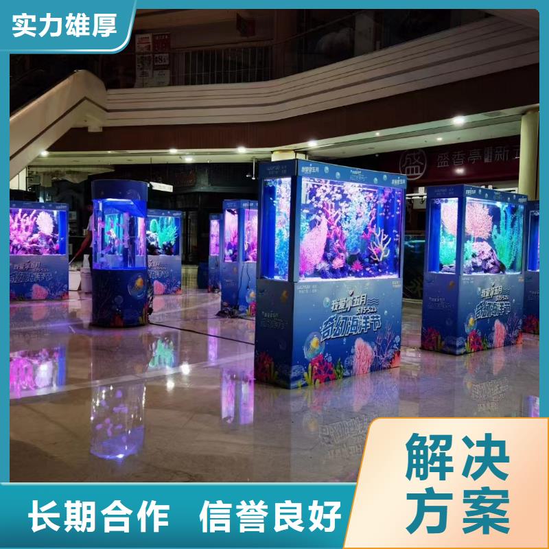 海洋主题动物表演海狮表演出租长期合作