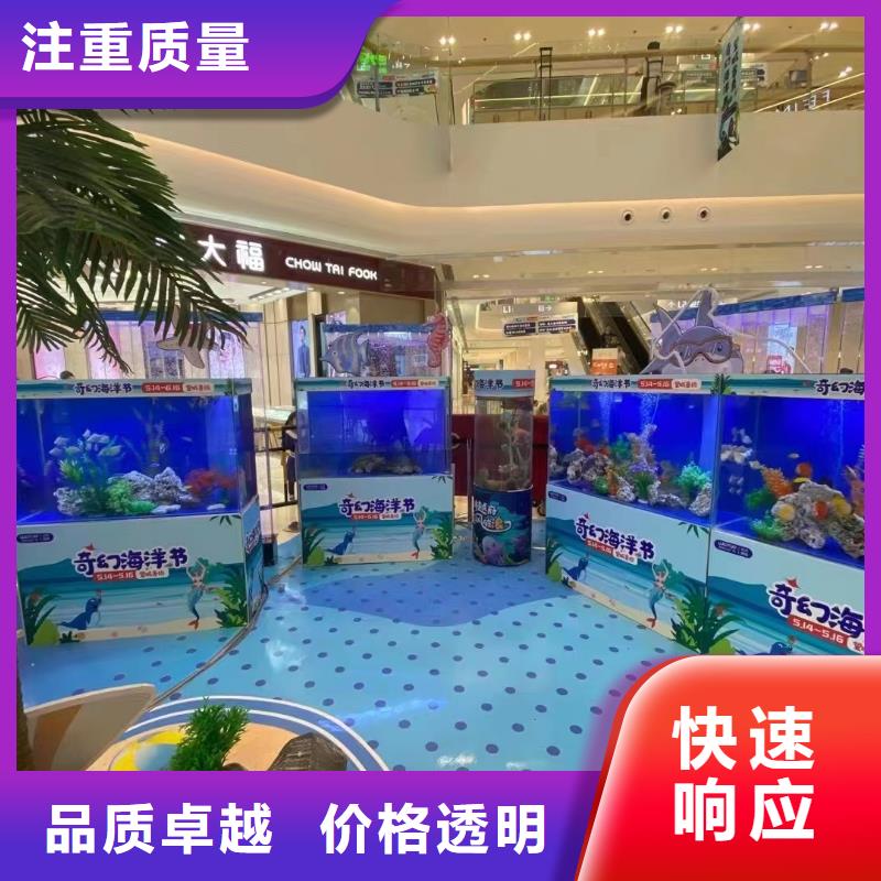 海洋主题动物表演海狮表演出租长期合作