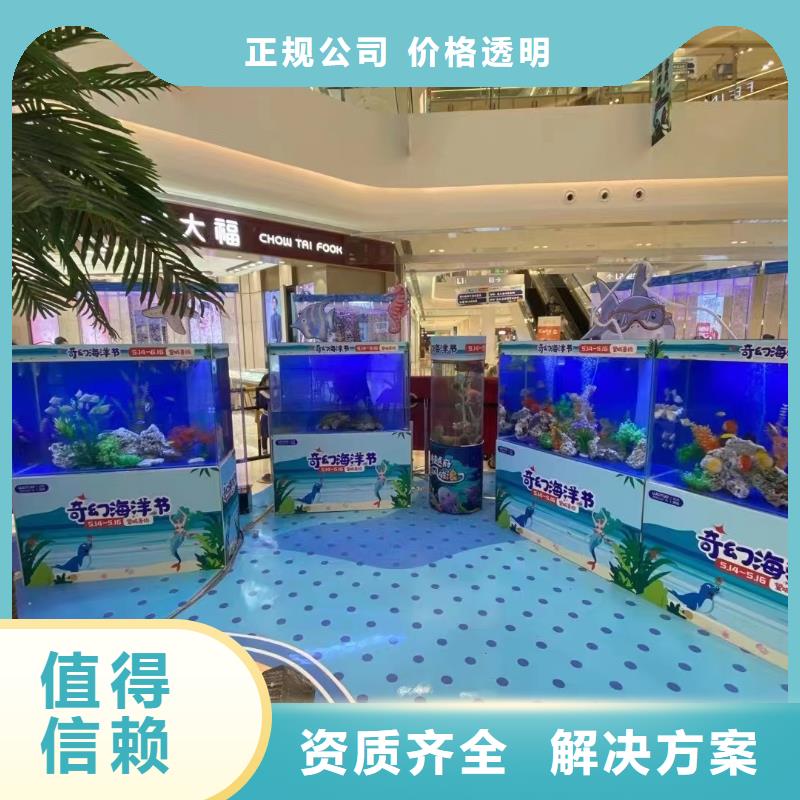 海洋主题动物表演海狮表演出租注重质量