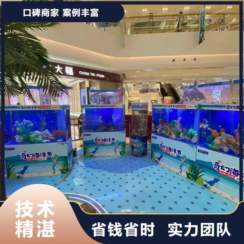 海洋主题动物表演出租表演羊驼行业口碑好