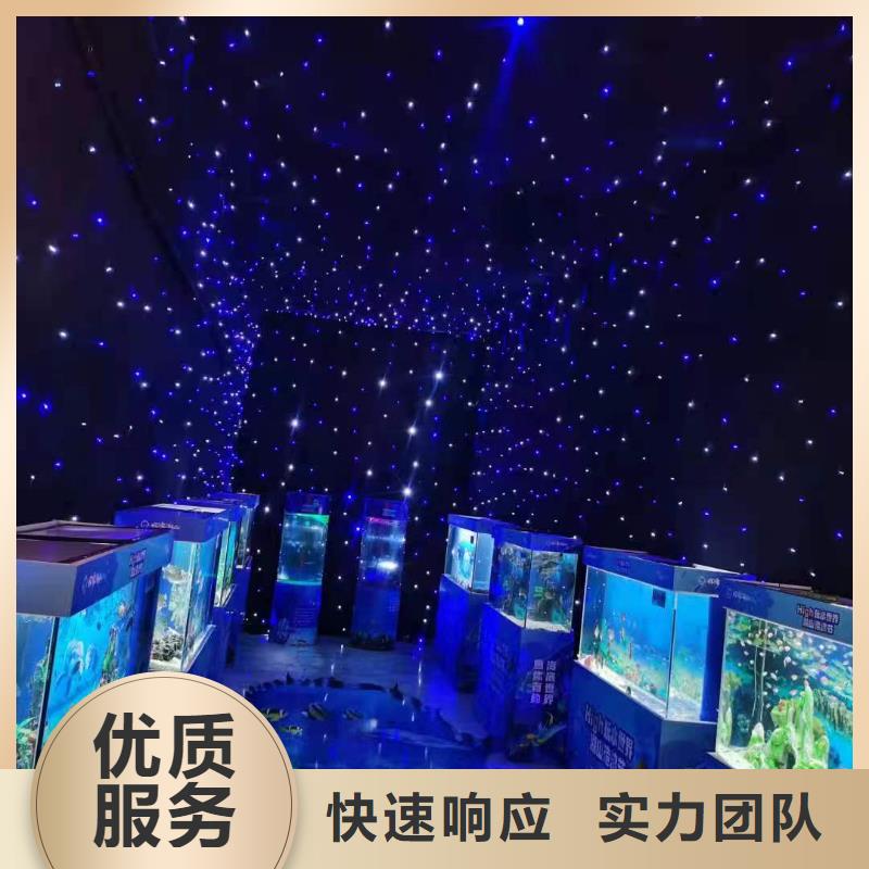 海洋主题动物表演租赁美人鱼表演品质优