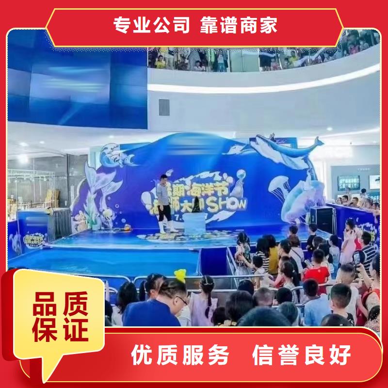 海洋主题动物表演驯兽表演实力强有保证
