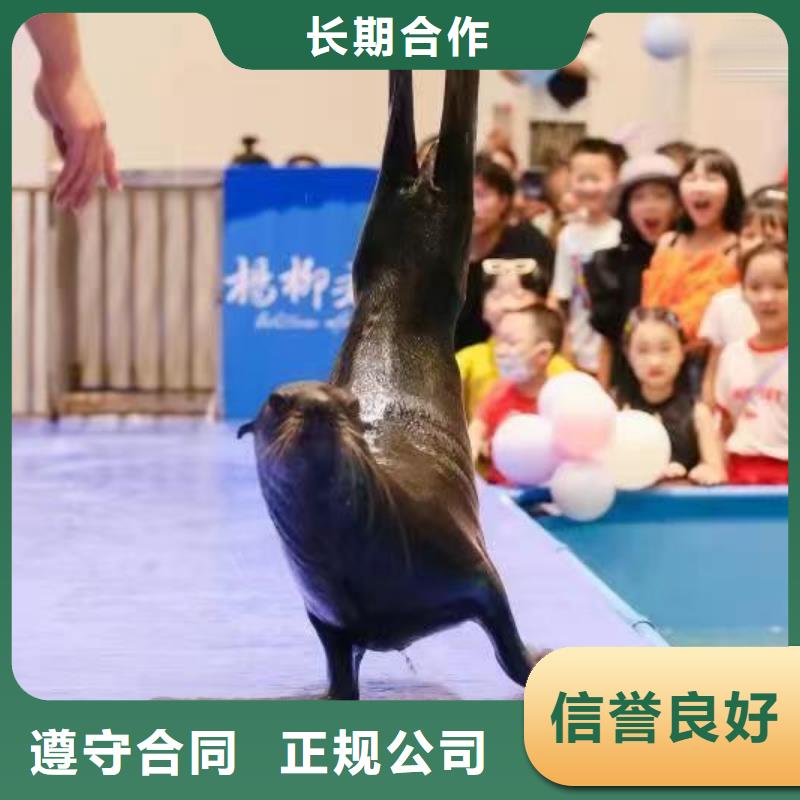 【海洋主题动物表演】海洋展租赁实力商家