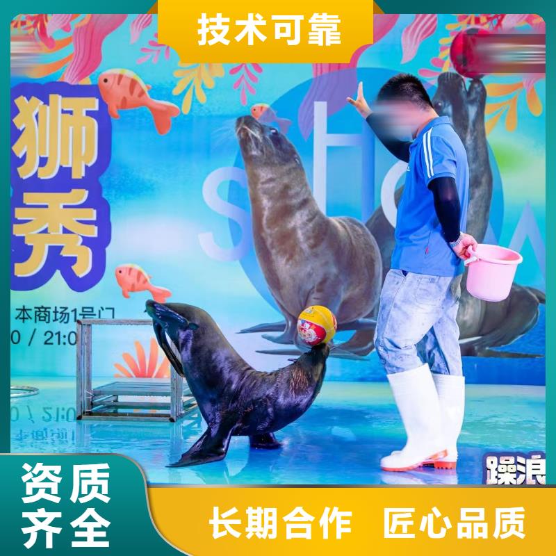 海洋主题动物表演_动物展览秀拒绝虚高价