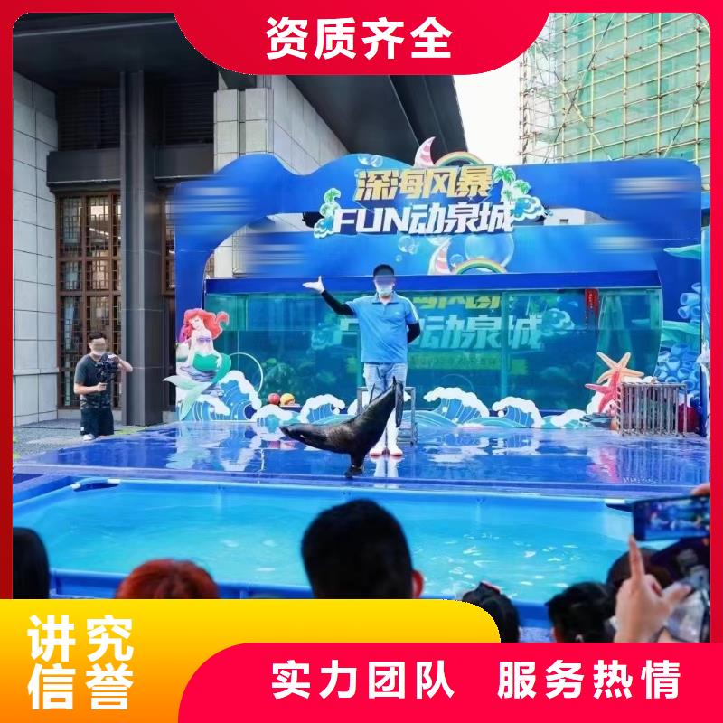 【海洋主题动物表演_鹦鹉表演出租技术可靠】