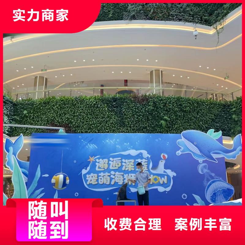 海洋主题动物表演_美人鱼表演出租承接