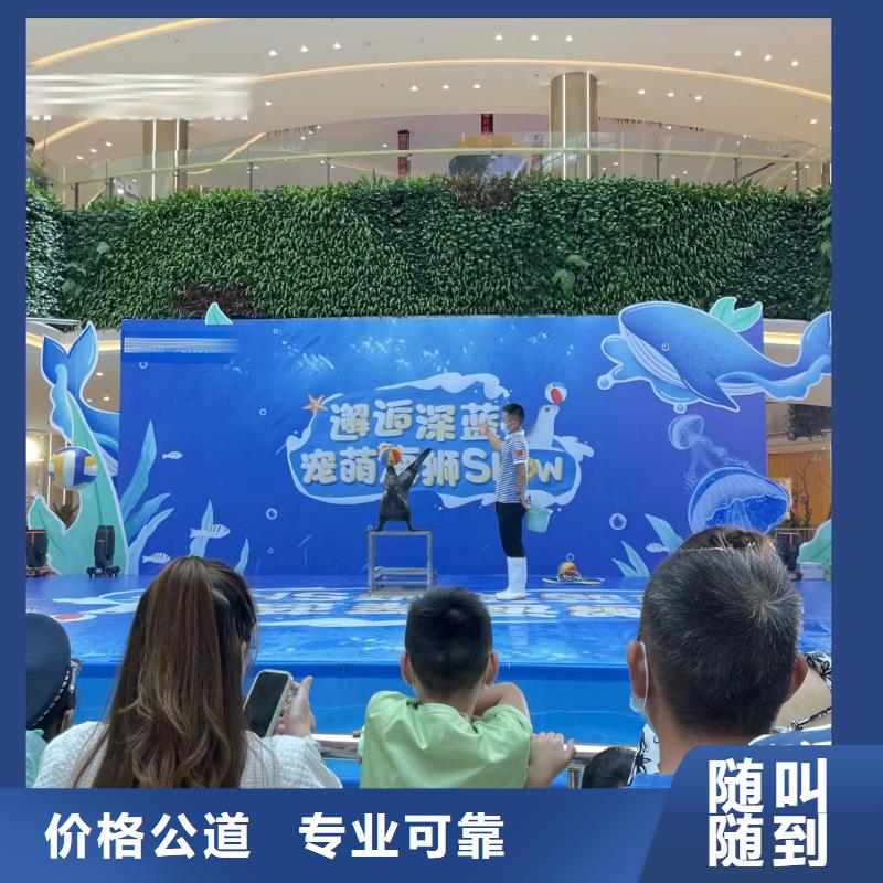 【海洋主题动物表演】-【海狮表演出租】明码标价