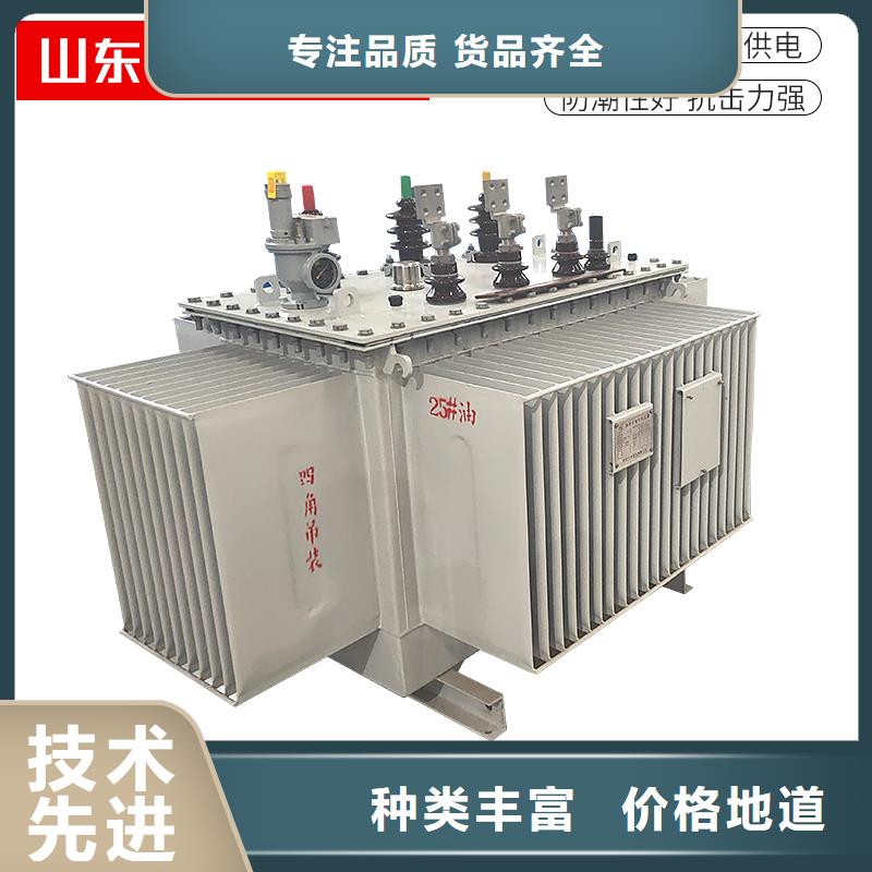 【油浸式变压器E型三相变压器厂诚信经营】
