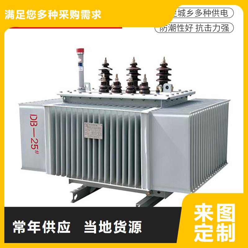 【油浸式变压器变压器厂实地大厂】