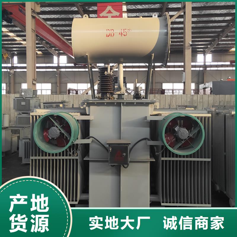 【油浸式变压器变压器厂实地大厂】