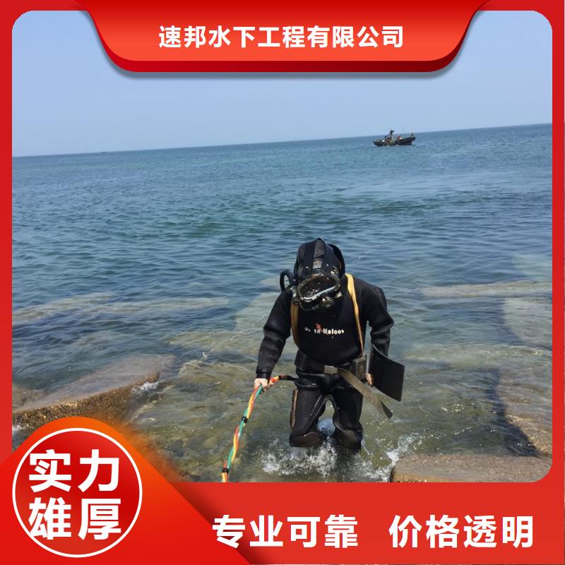 上海市潜水员施工服务队-有哪些公司