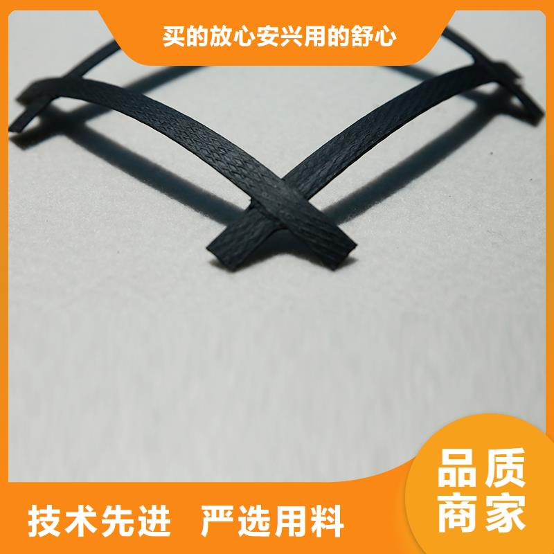 钢塑土工格栅厂家直供