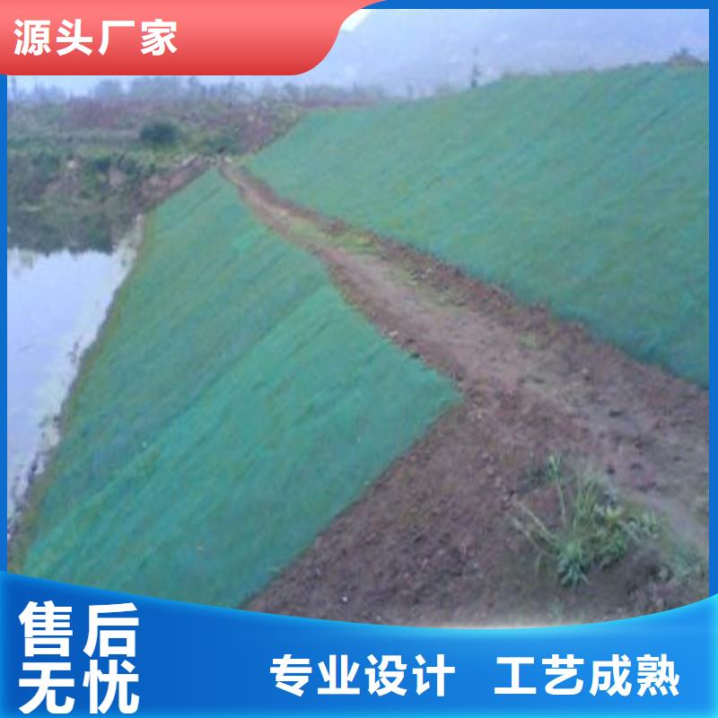 土工布塑料土工格栅24小时下单发货
