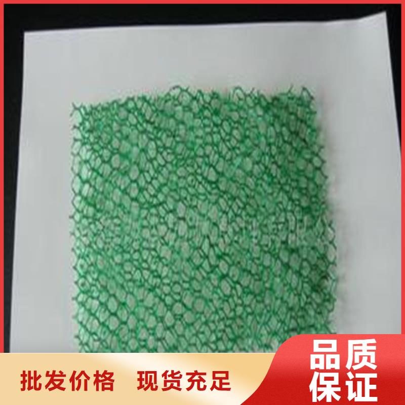 【土工布】单向塑料土工格栅您身边的厂家