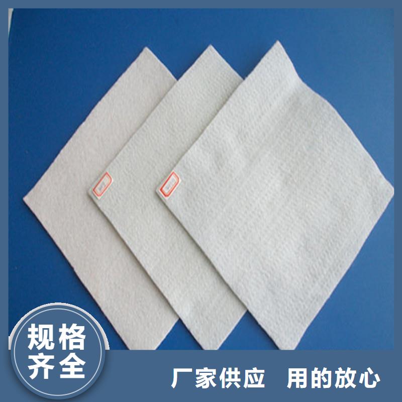 【土工布】双向塑料土工格栅实拍展现