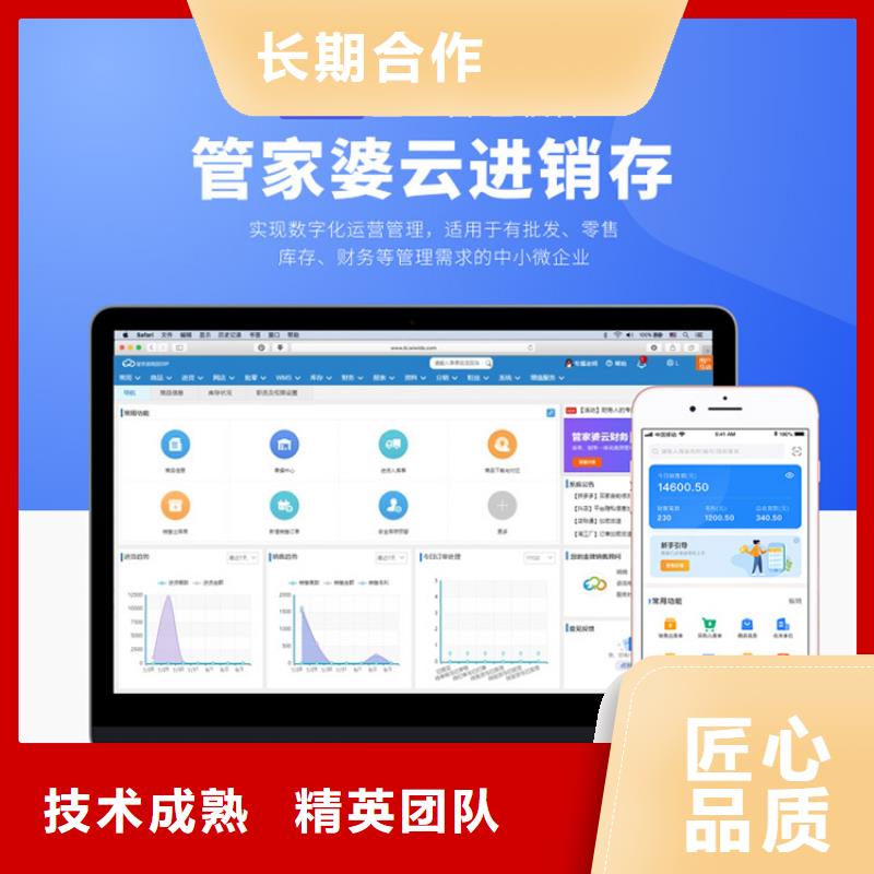软件进销存系统专业公司