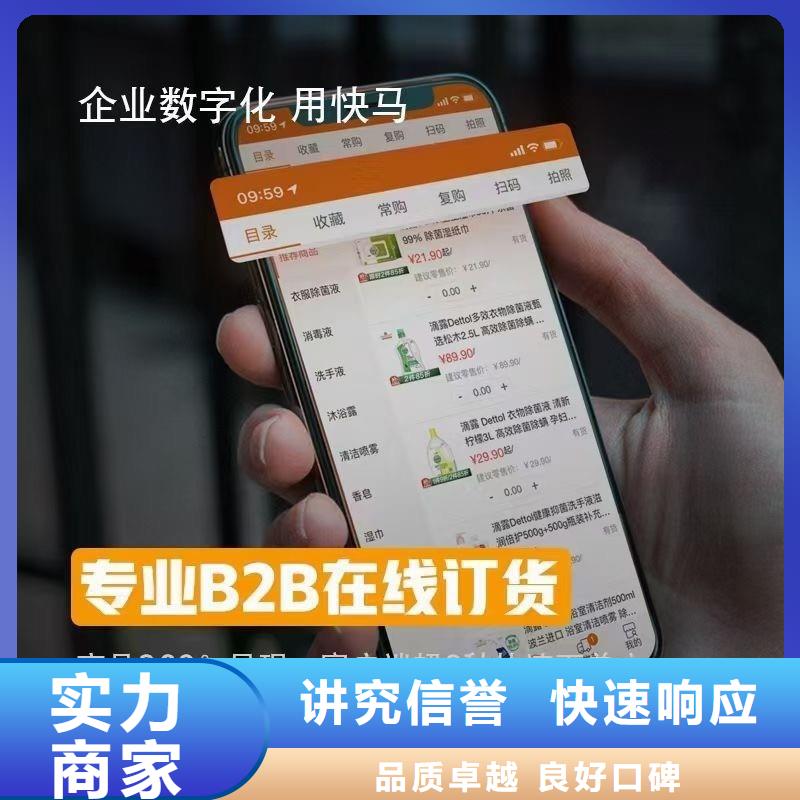 软件进销存软件精英团队