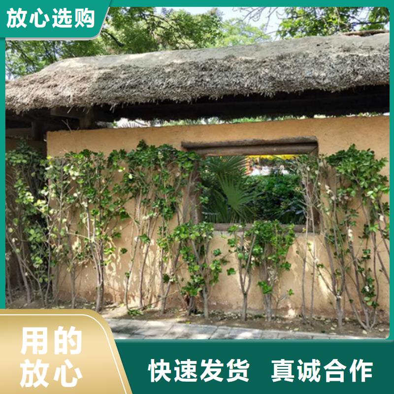 批发价格生态稻草漆支持拿样