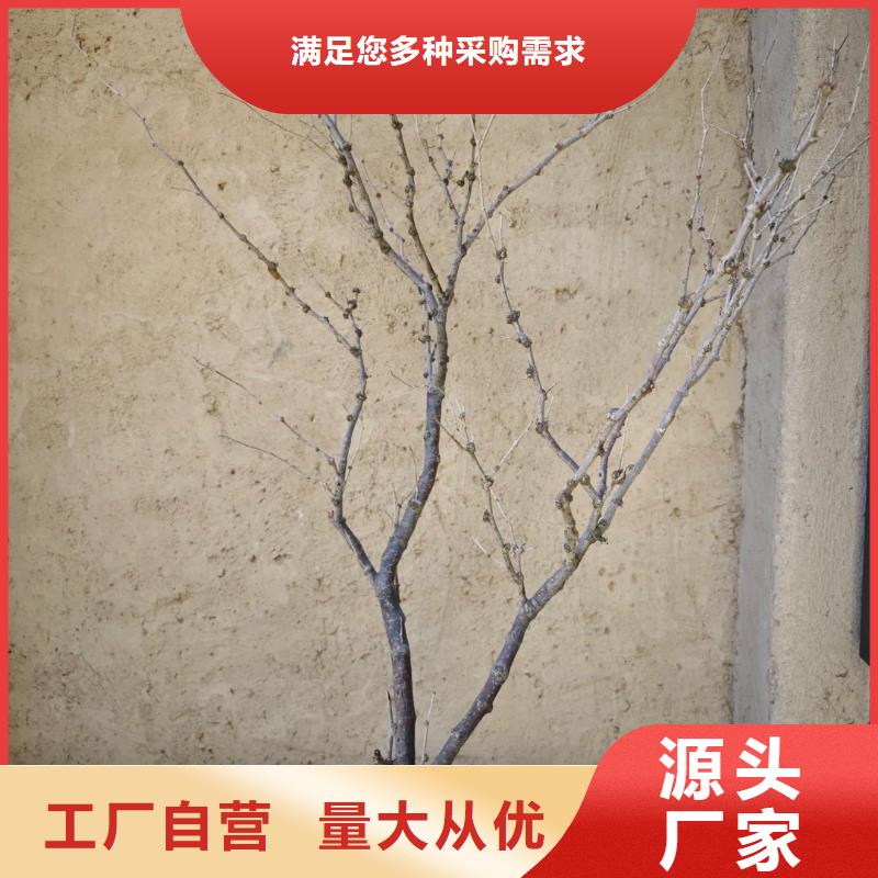 仿泥巴稻草漆厂家施工