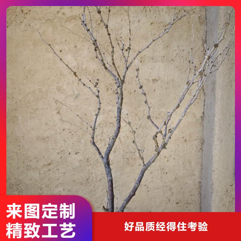 施工价格仿夯土漆品质保证