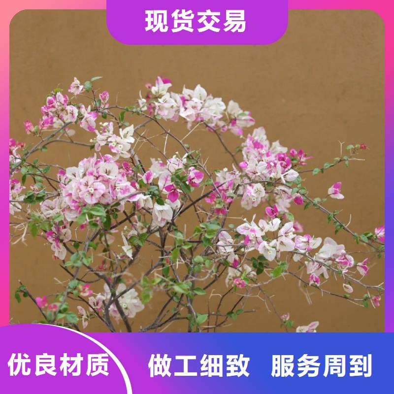 仿夯土稻草漆价格#泥巴墙漆#老房翻新#民宿改造