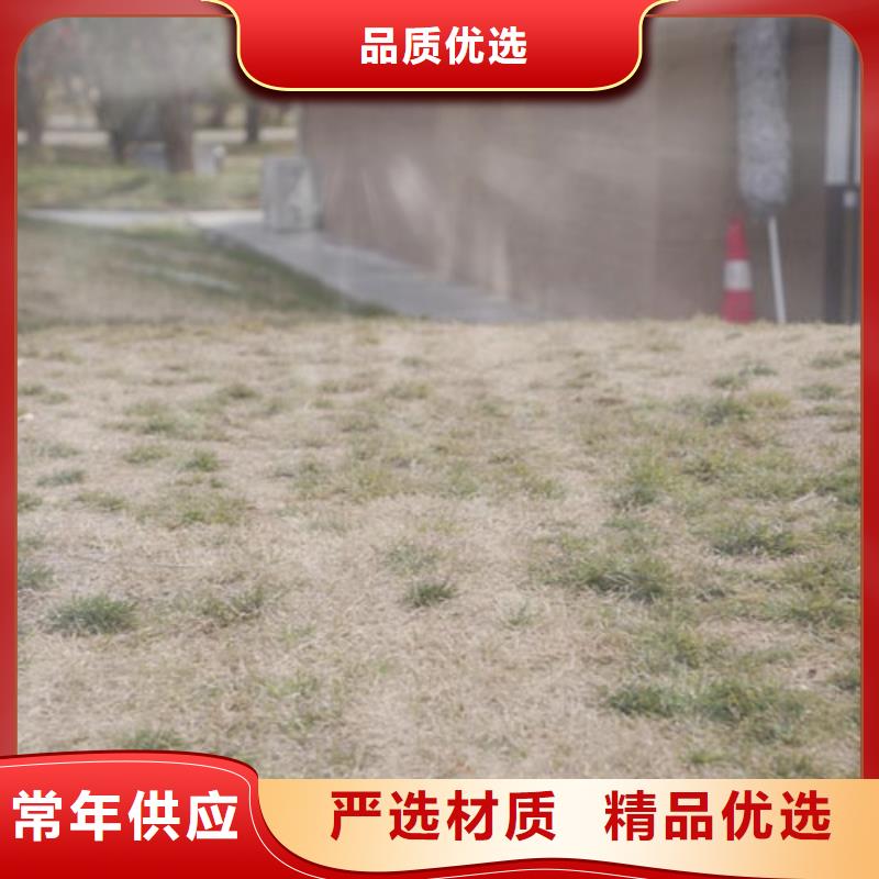 仿泥巴墙涂料施工报价质优价廉