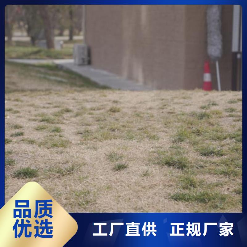 仿夯土漆施工报价售后无忧