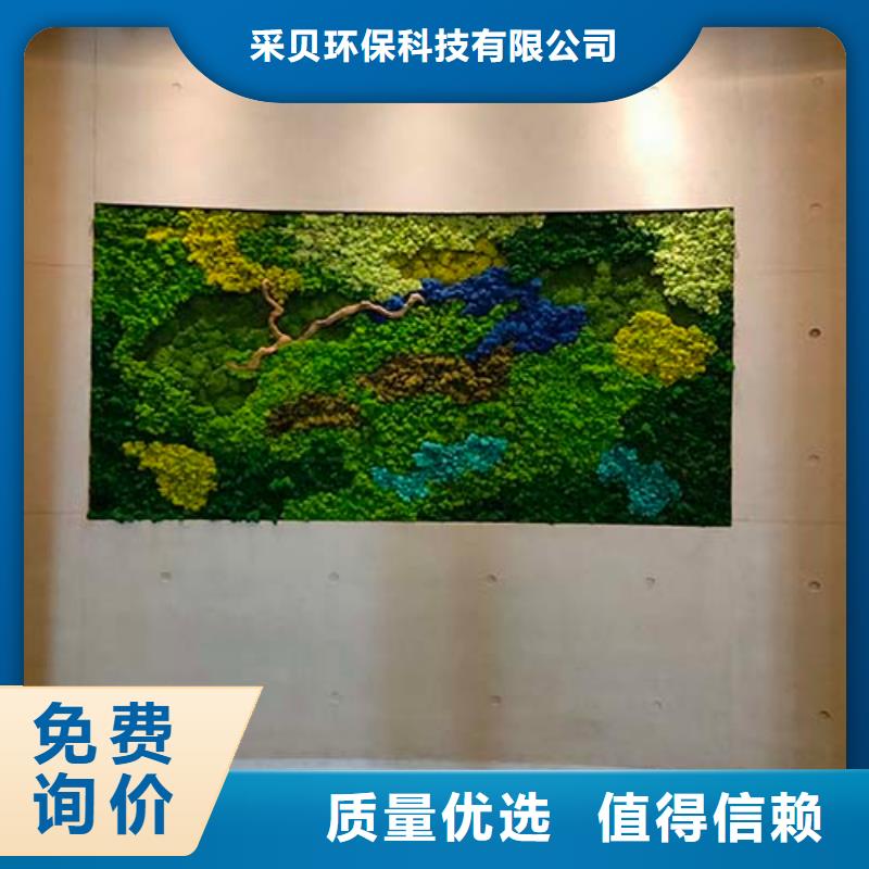 墙面微水泥施工团队