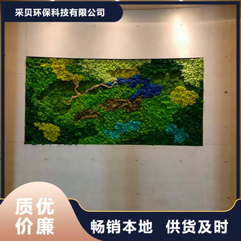 微水泥一公斤价格