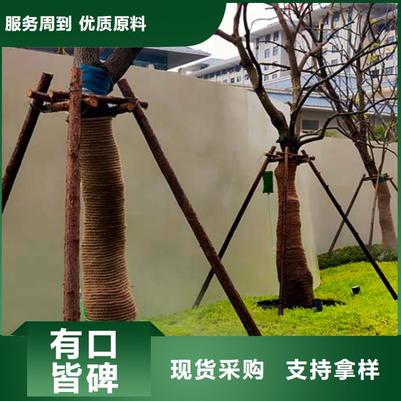 地面微水泥图片