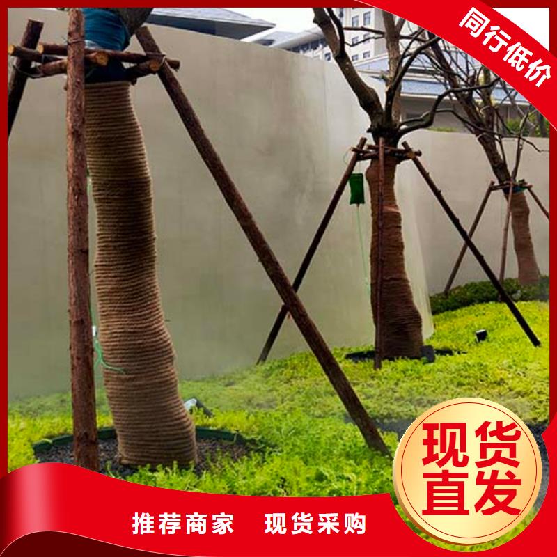 【水泥漆】木纹漆原料层层筛选