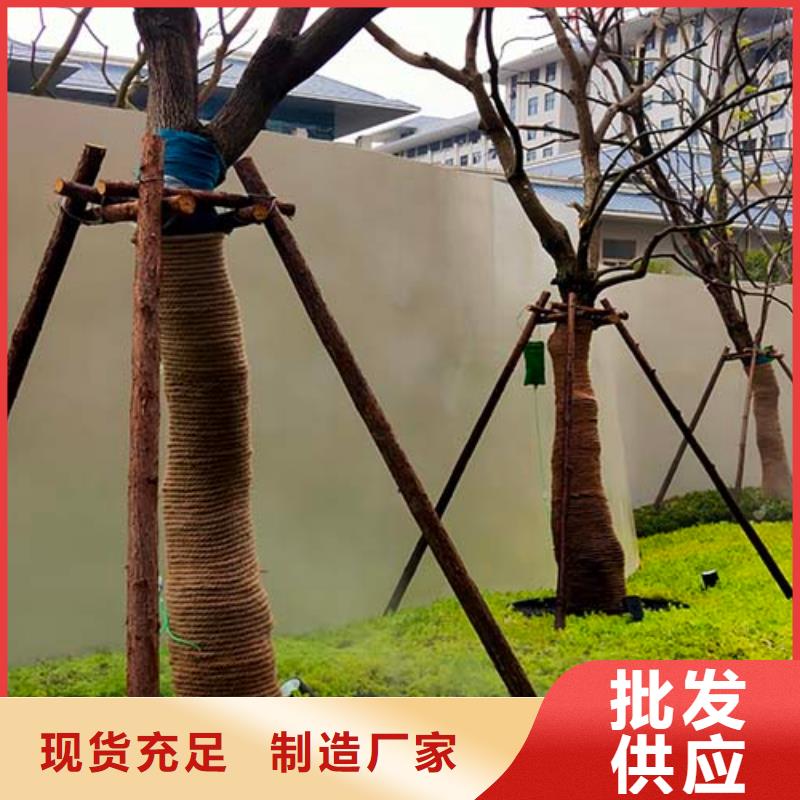 水泥漆-内墙夯土板服务始终如一