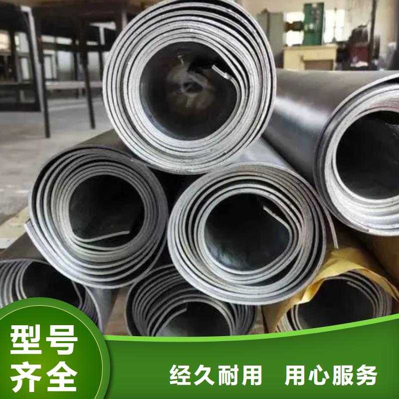 铅板【电动射线防护门】极速发货