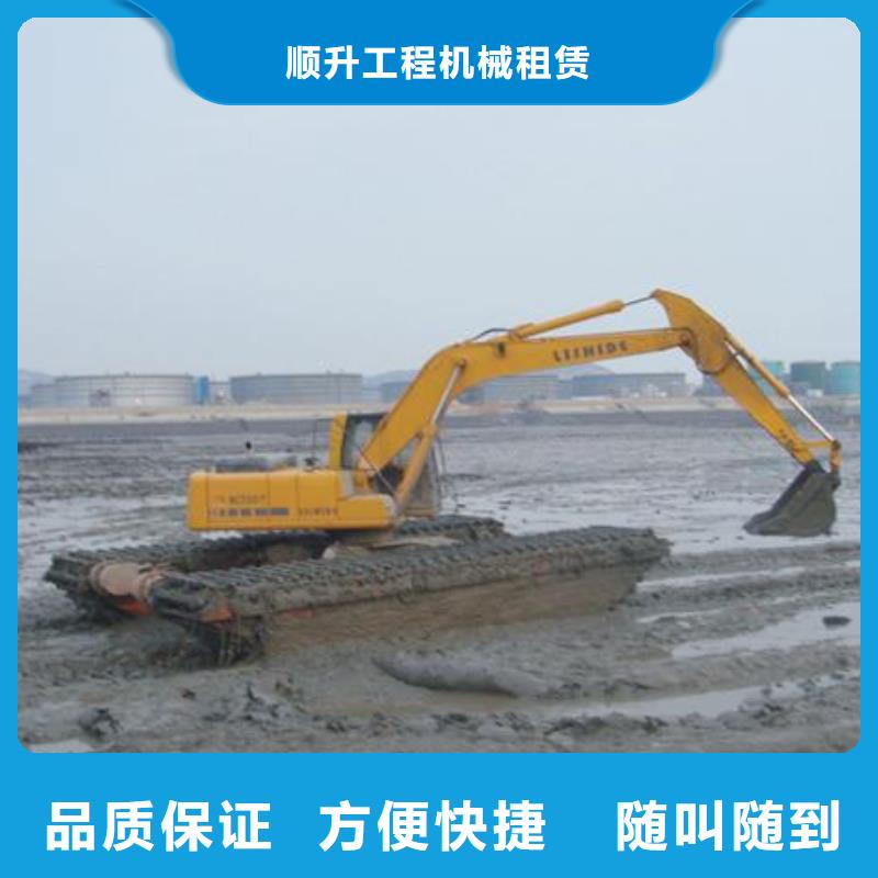 
两栖挖掘机出租组图