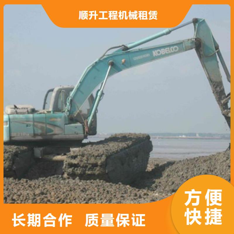 水上挖掘机租赁水陆挖机租赁2025公司