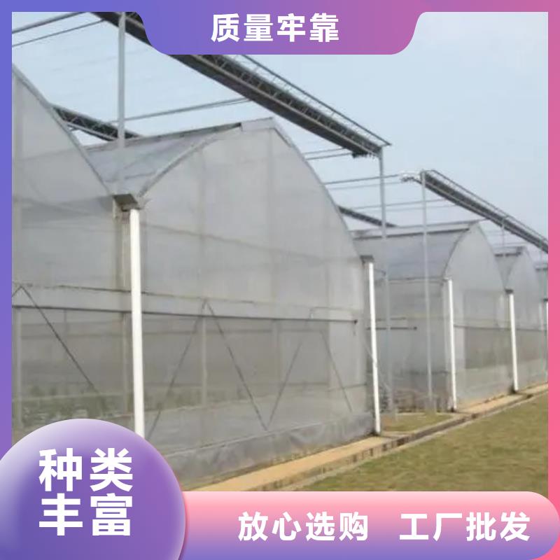 广东省深圳市福永街道大棚防风卡槽价格优惠