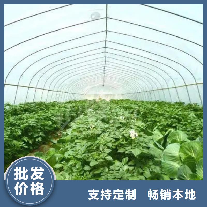 中山市沙溪镇蔬菜大棚价格在线报价