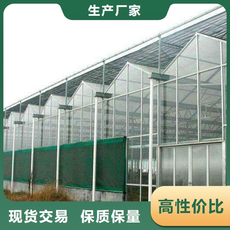 中草药种植大棚实体大厂