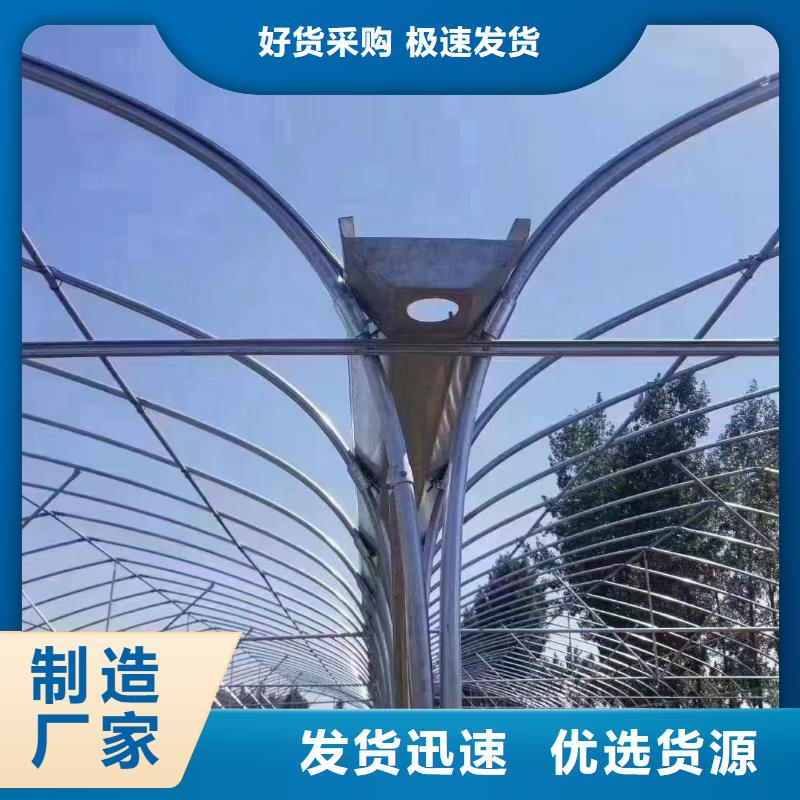 杨梅大棚管品质保障