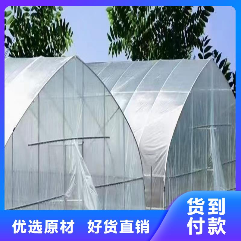 中草药种植大棚实体大厂