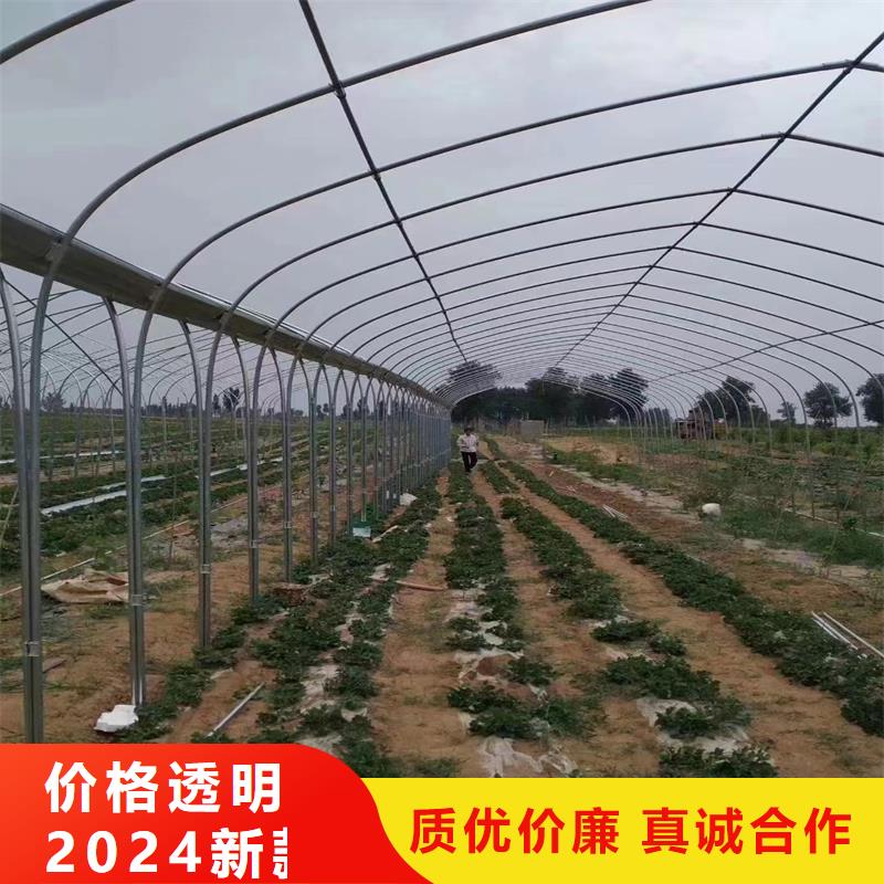 广东省中山市坦洲镇大棚钢管厂10年经验