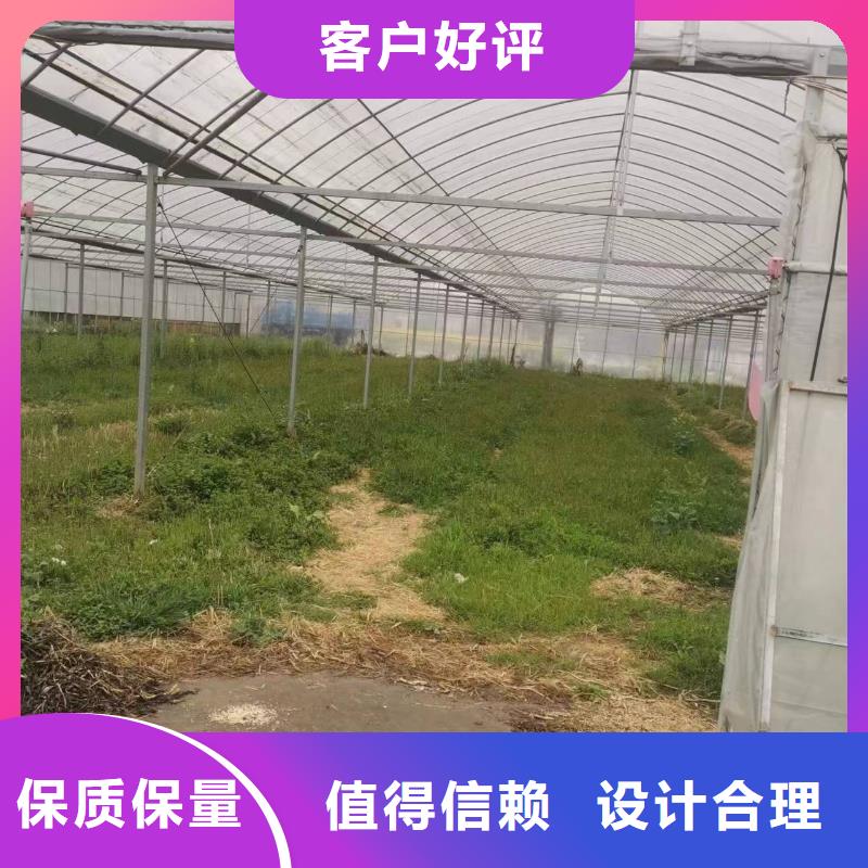 通风气楼图片终身质保