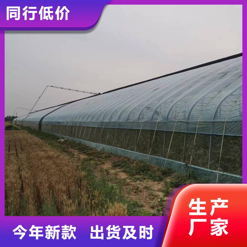 中草药种植大棚实体大厂