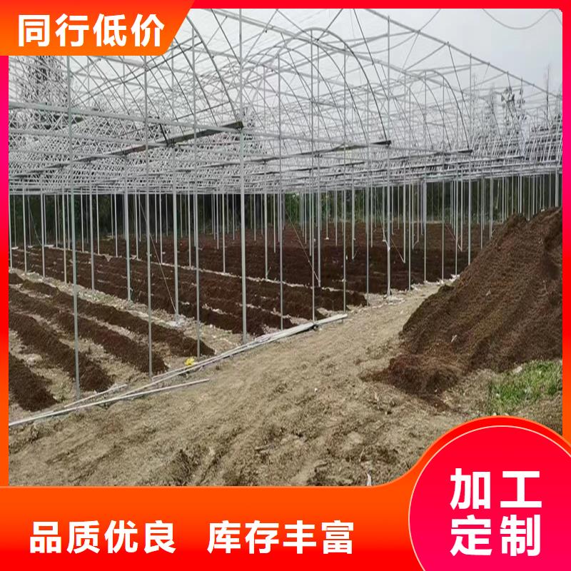 杨梅大棚管品质保障