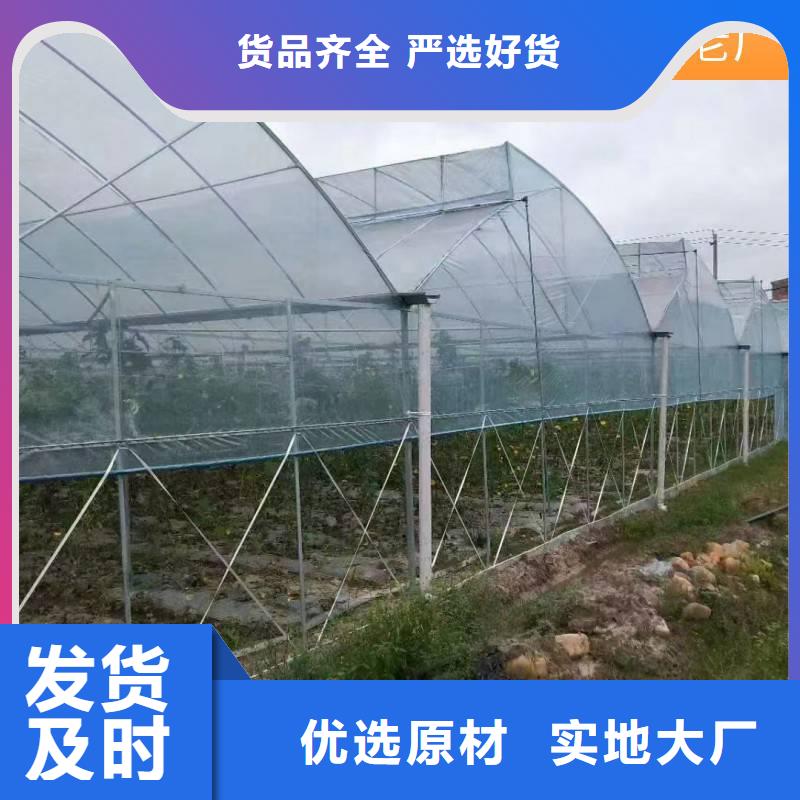 杨梅大棚管品质保障