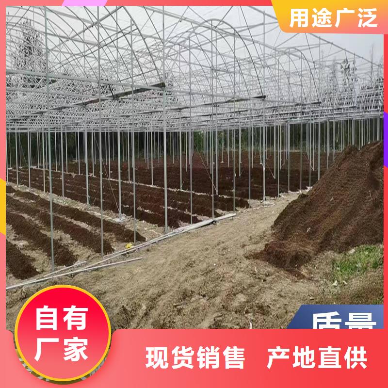 杨梅大棚管品质保障