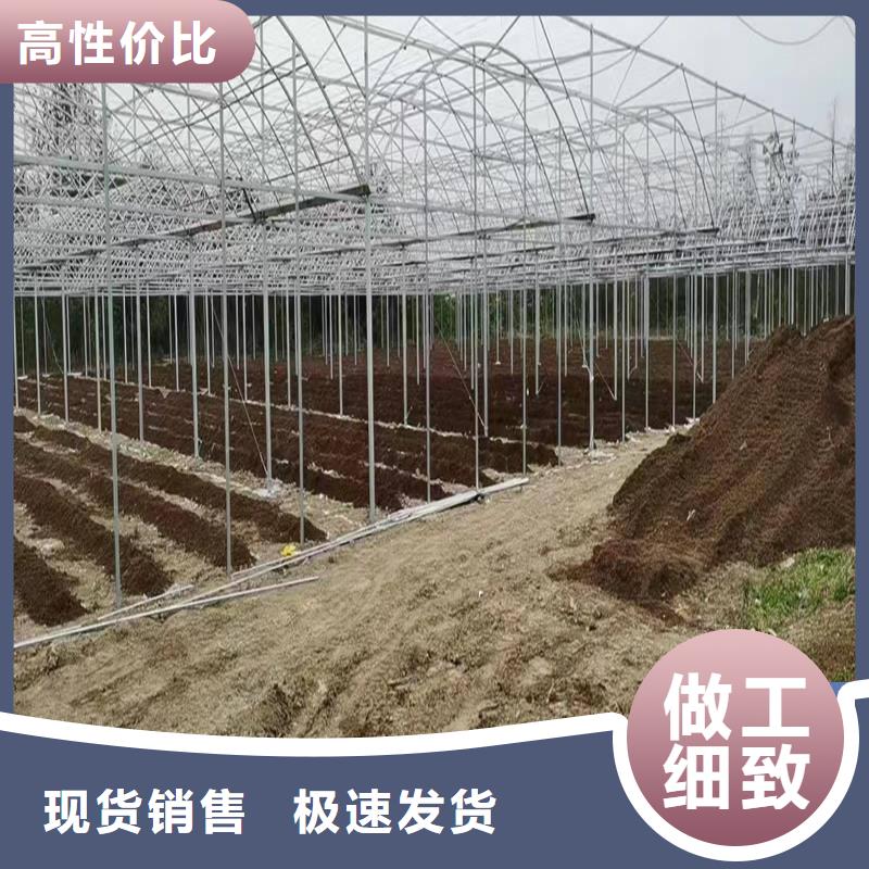 广东省中山市黄圃镇通风气楼的通风釿厂家价格
