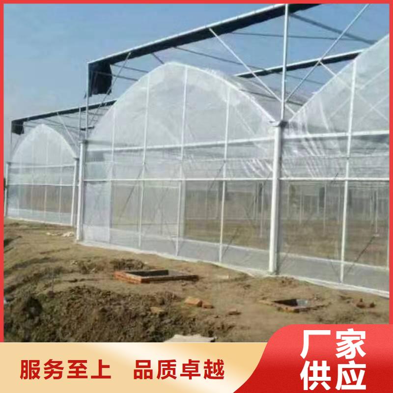 广东省深圳市园岭街道苗圃大棚管出厂价格